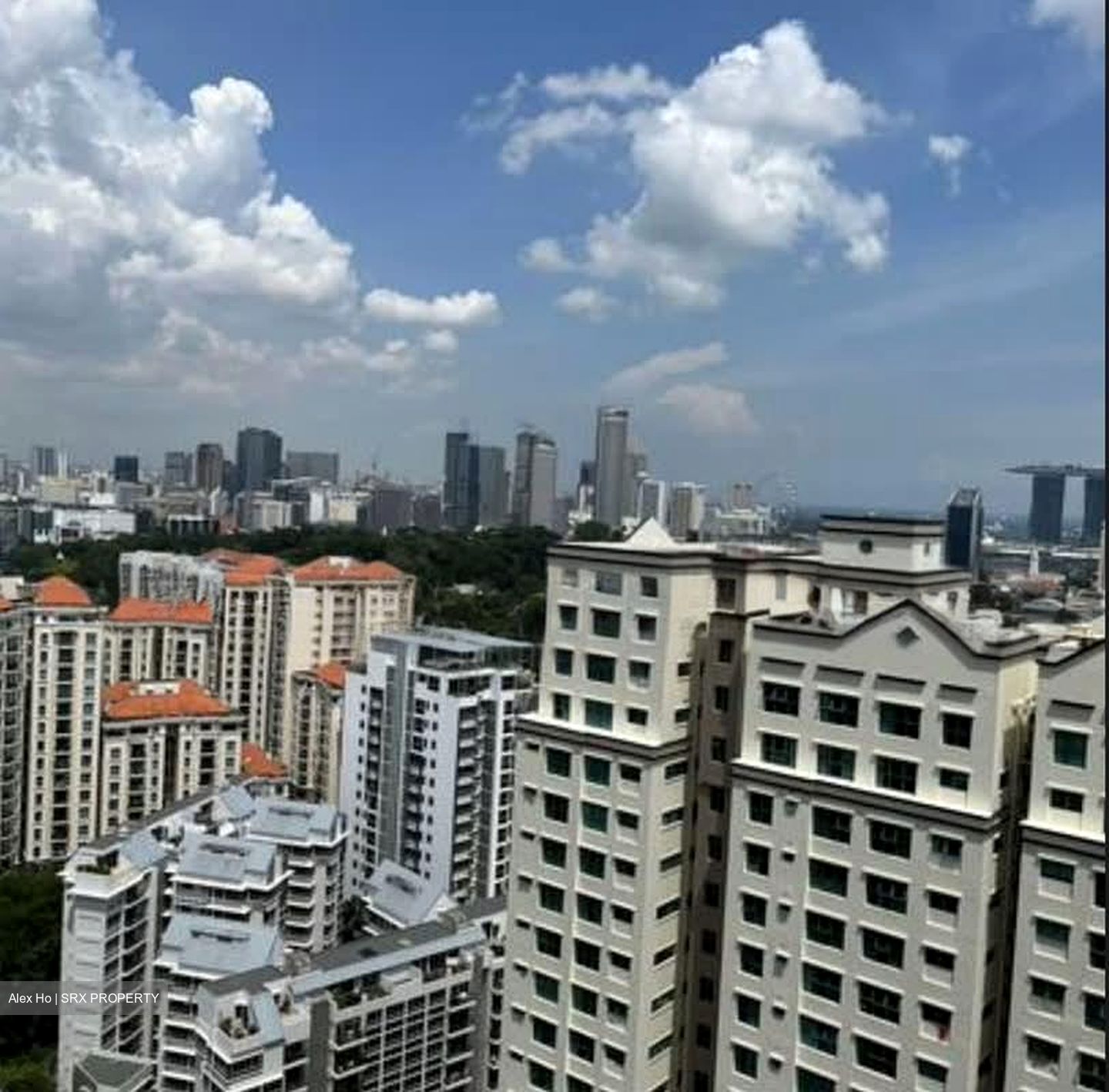 Martin Modern (D9), Condominium #566853391